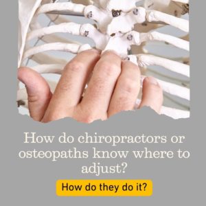 How do chiropractors or osteopaths know where to adjust?